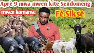 Nan Sèlman 9 mwa mwen kite Sendomeng Vinn gade Siksè mwen komanse fè nan Agrikilti?