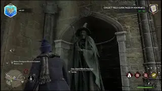 Hogwarts Legacy One Eyed Witch Open Portal and Complete Search Mission Complete Part 2
