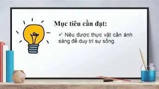 BGS6 - Khoa học - &Aacute;nh s&aacute;ng cần cho sự sống