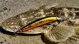Flathead Fishing The Gold Coast With Lures!