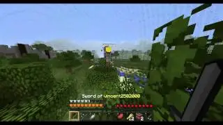 Minecraft Hive - Hacker Report - philstrobi