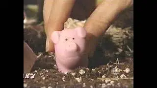 CBC - The Naughty Pig - Peru