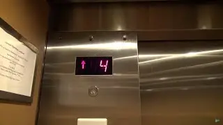Epic Schindler Hydraulic Elevators at the Math and Science Epic Building - Emory University