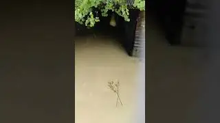 #assamflood #prayforassam