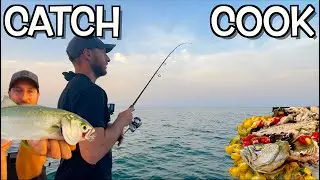 PESCE SERRA CATCH & COOK! Pescata a Spinning TOPWATER dalla Barca con WTD e Needle sulle Mangianze!!