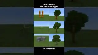 || How to make the tree grow bigger || #education #animation #business #memes #minecraft