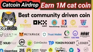 Catstar Airdrop reward 1M cats | Join fast cats is big project for mining and airdrop