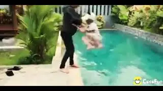 kumpulan video cocofan # terbaru