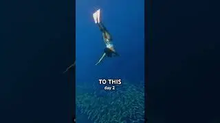 FIRST TIME FREEDIVING!! You can do it too!! #shorts #fundive