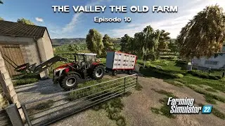 Buying SHEEP & FENDT 900, Mowing, Baling, Wrapping GRASS | Valley Old Farm | FS22 | Episode #10