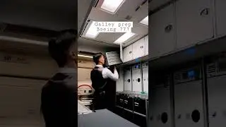 Preparing for arrival. Galley Duty on Boeing 777