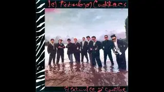 Los Fabulosos Cadillacs y PRMF - Juan (Official Video)