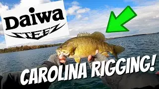 Carolina Rigging for FALL SMALLIES!! Put DOWN the spinning rod??