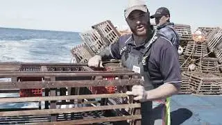 Western Rock Lobster Pot Drop