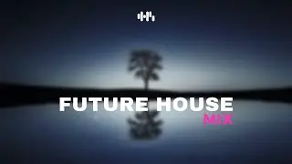 Future House Mix - 30 Minutes of House #1 (2021)
