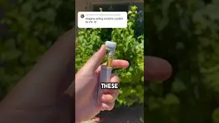 Our next victim😅🍃 #gadget #spotthedifference #420