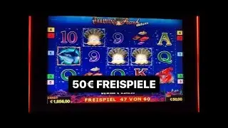Dolphins Pearl auf 50€ Drehungen Freispiele 💰 Lucky Ladys Charm Spielothek Spielhalle