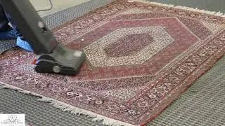 Area Rug Dusting