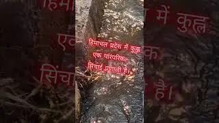 The Kangra kuhl irrigation system is&nbsp;a traditional community-managed gravity-fed system #shorts
