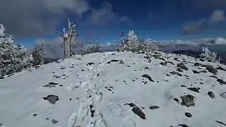 Mt Griffith Peak Mount Charleston #hiking #mtcharleston #outdoors #mountains #hikelife #hikelife