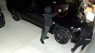 'You could be next': Masked intruders target Hellcat; experts urge knowing Texas self-defense laws