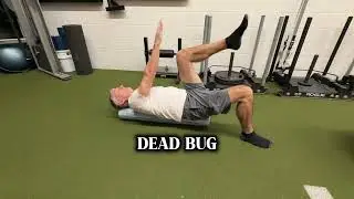 Core Circuit Routine - Dead Bug & Stability Ball Planks 