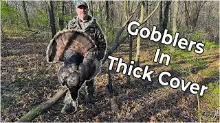 Iowa Turkeys In Thick Cover! Turkey Hunting The Midwest - Heavy Turkey