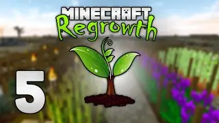 Modded Minecraft: Regrowth HQM - 5 - ALL FOR NOTHING!!!