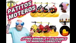 CONOCE A LOS PATITOS MOTEROS, UN ACCESORIO DE LOS MAS INNOVADORES Y NUEVOS.