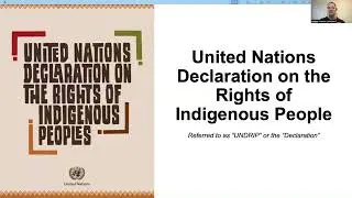 Foundational Obligations to Indigenous Peoples Training Series: Session 1 - UNDRIP
