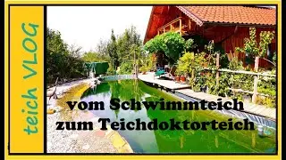 Umbau in einen Teichdoktorteich