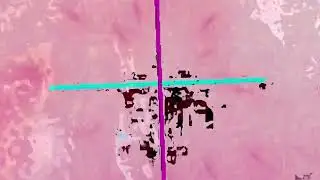Compy's Pets - compycore (Official Video)