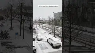 Aarhus, covered with snow. #shorts #snow #ytshorts #denmark #nature #naturelovers #love #music
