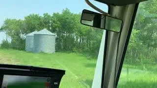 Лось перепрыгивает через ограждение от буйволов