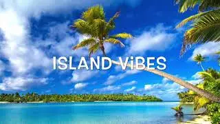 Free Beats |  Island Vibes - Island Music Beat