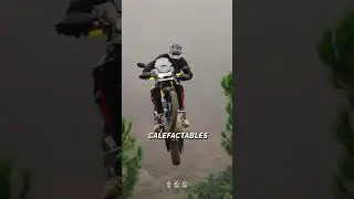 Tiger 900 Rally Pro