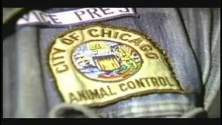 Wild Chicago Diary -- Shooters Cop Bar