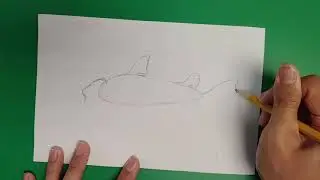Draw a Horn Shark!