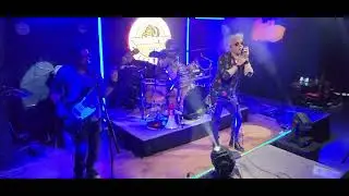Stone Temple Pilots   Tributo STP 3