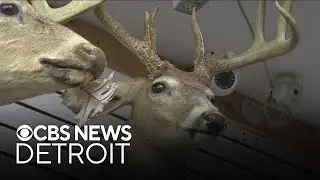 Here's what to know about Michigan's 2025 deer hunting season