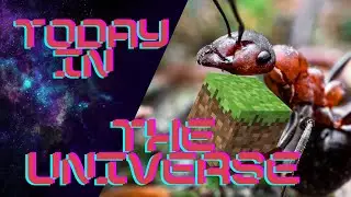 The World of Fire Ants: A Minecraft Video Essay