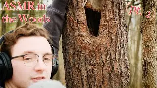 ASMR in the Woods pt. 2 🌱🌳🍃