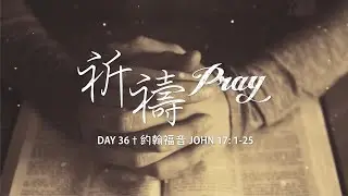 CBMC 四十天读经计划 ~ 第三十六天（约翰福音17：1-25）