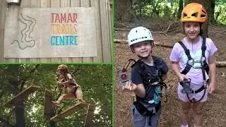 Tree Surfing at Tamar trails Gulworthy Devon for kids