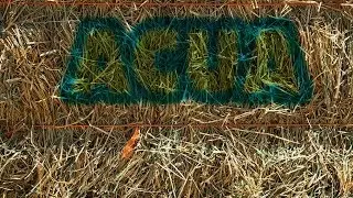 HayMaze