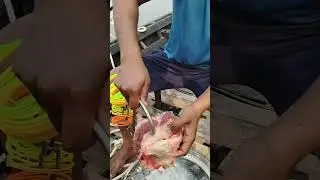 Shark fishing with raw meat bait #fishing #bait #lurefishing