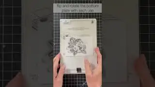 Keep Your Cutting Plates from Warping - A Stampin' Pretty 1 Minute to WOW Video