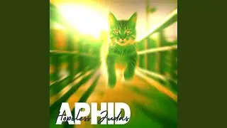 Aphid, AS-01