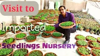 Visit to the Best Imported Seeds Seedlings Nursery in Kolkata.