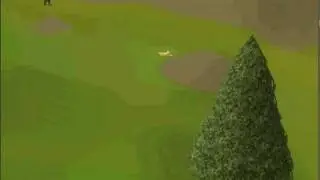 Runescape Invisible glitch!
